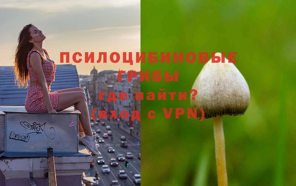 гашик Балабаново